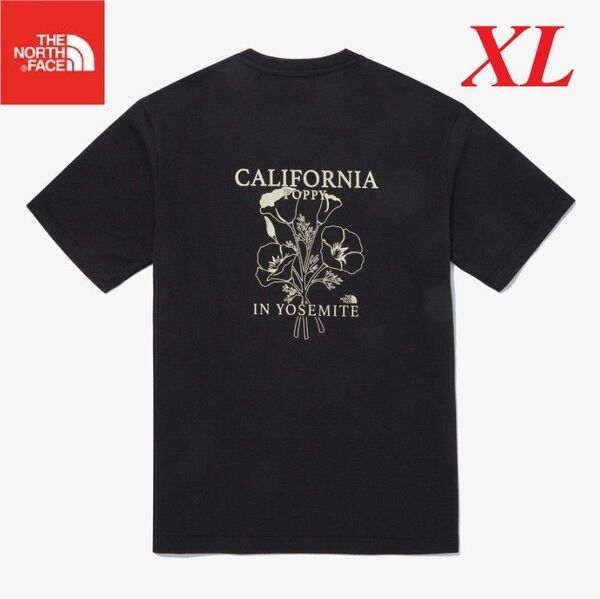 1着限定! ノースフェイス Tシャツ 半袖 バッグプリント XL K604C