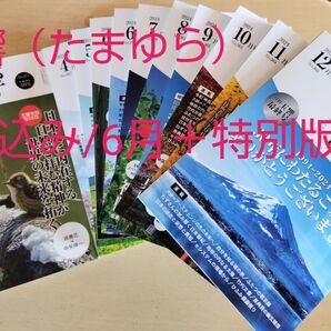 玉響(たまゆら)計11冊込み★美品★ 月刊誌中矢伸一監修再販無しの貴重版・他では得られない内容満載です◎