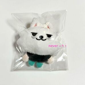 TXT プルバトゥ スビン ぬいぐるみ キーリング