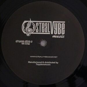 新品未使用 Steal Vybe / Track 2 the Future 12inchレコード　送料無料 (0929)
