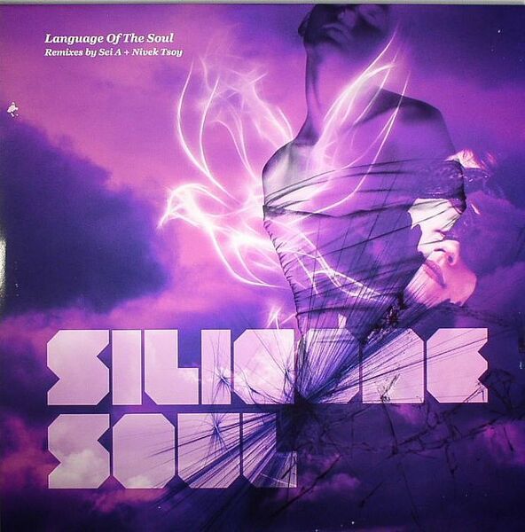 新品未使用 Silicone Soul / Language Of The Soul 12inchレコード　送料無料 (0940)