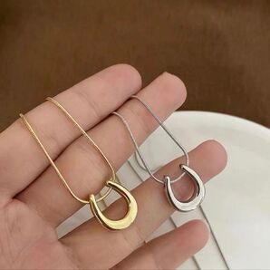 ホースシュー馬蹄 ネックレス ステンレスネックレス サージカルステンレス チェーン