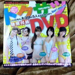 ヤングアニマル 2010年NO.3 篠崎愛 松井絵里奈 付録 DVD 未開封