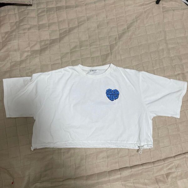 Tシャツ INGNI