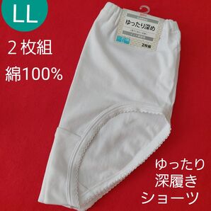 レディース 婦人 お腹もお尻もゆったり 綿100% ショーツ 2枚セット LL
