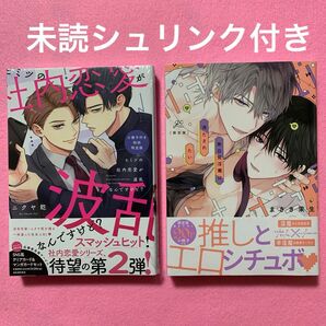 ヒミツの社内恋愛が波乱なんですけど?小冊子付き初回限定版 ニクヤ乾 無自覚淫魔は満たされたい限定版小冊子付き まさき茉生