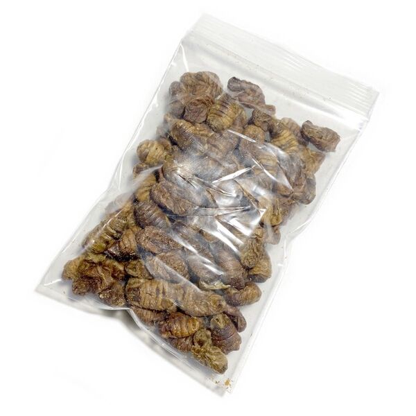 お試し 30g ドライシルクワーム