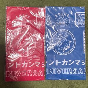 【新品未開封】エレファントカシマシ ご当地はんこ コンプリート手ぬぐい 2色セット