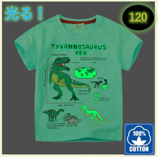 光る!蓄光Tシャツ 新品 青緑色 120㎝ 恐竜 キッズ 半袖 コットン 半袖Tシャツ Tシャツ