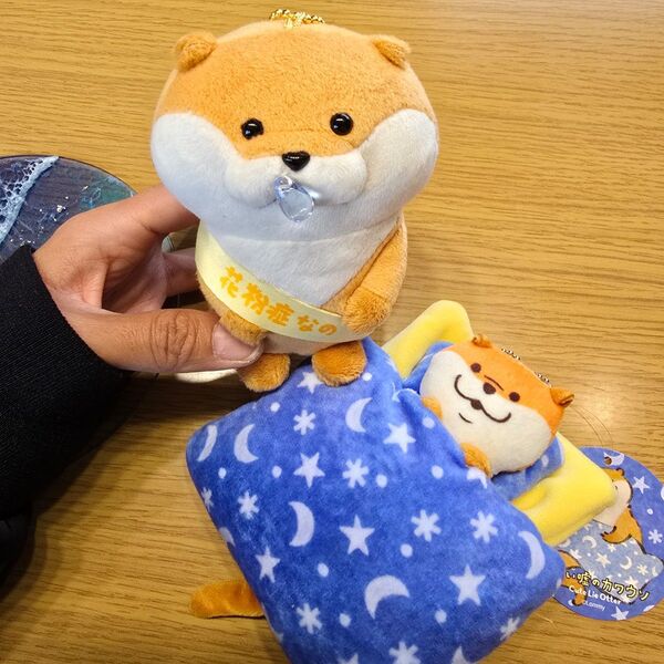 可愛い嘘のカワウソセット 新品中古