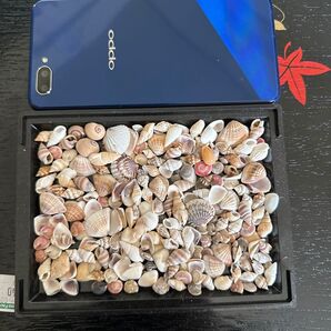 MIX殻