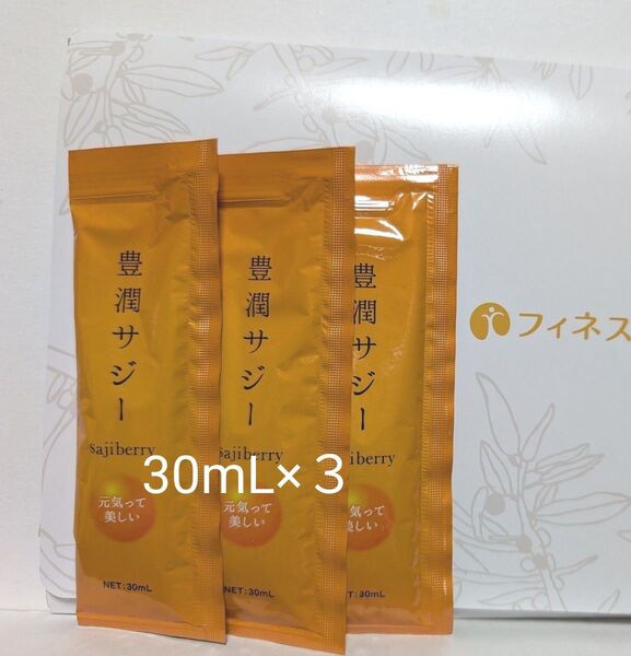 豊潤サジー30mL×3包