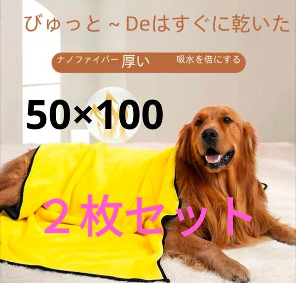 2枚組 ペット 超吸水 マイクロファイバー タオル 犬 猫 速乾性 バスタオル