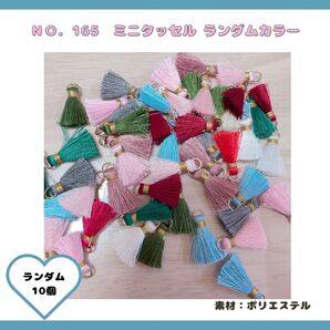 No.165 ミニタッセル 10個セット♪