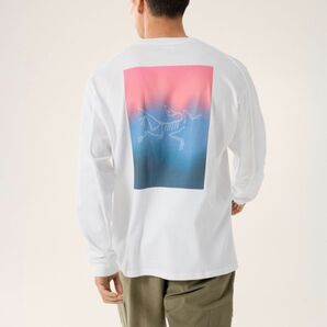 ARC'TERYX アークテリクス クラッグ コットン ヒートマップ 長袖 WHITE S 新品