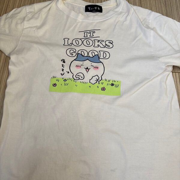 ちいかわ 塩むすび ハチワレtシャツ【M】
