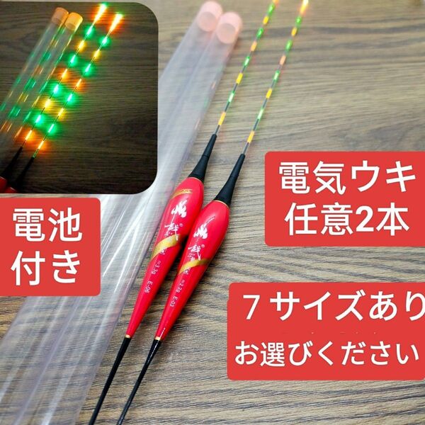 電気ウキ 棒ウキ 2本自由選び へら浮き ダンゴ釣り ヘラウキ グレ 鯉釣り 鮒釣り 高輝度LEDウキ ウキ へら浮子 405
