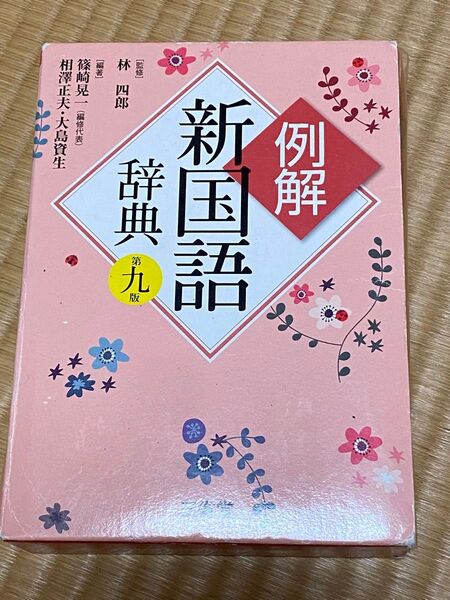 例解新国語辞典第九版