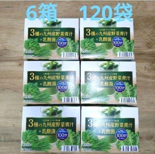 青汁 国産 九州産野菜青汁 + 乳酸菌100億個 大麦若葉 ケール 明日葉 乳酸菌 6箱 野菜 飲料 健康飲料 美容