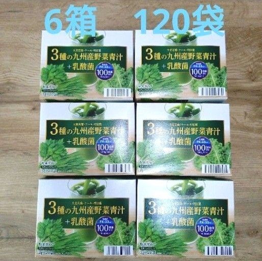 青汁 国産 九州産野菜青汁 + 乳酸菌100億個 大麦若葉 ケール 明日葉 乳酸菌 6箱 野菜 飲料 健康飲料 美容