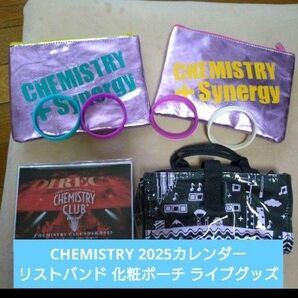 CHEMISTRY 2025カレンダー リストバンド 化粧ポーチ ライブ グッズ