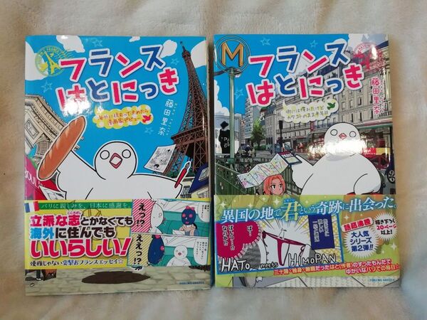 2冊★フランスはとにっき、フランスはとにっき 街には慣れたけどカタコトのまま半年目 藤田里奈★レア 希少