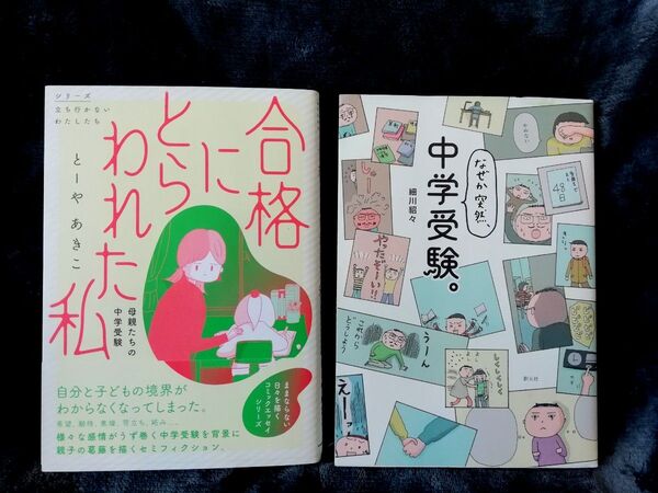 2冊★合格にとらわれた私 母親たちの中学受験 シリーズ立ち行かないわたしたち とーやあきこ、なぜか突然、中学受験。 細川貂々★漫画