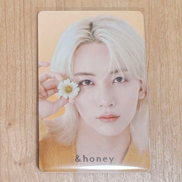 SEVENTEEN seventeen セブチ ハニ ジョンハン &honey コラボ 特典 トレカ 3枚セット