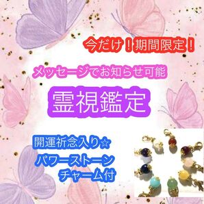 今だけ●霊視鑑定● 悩み一つ 鑑定書 天然石ストラップ1つ付き