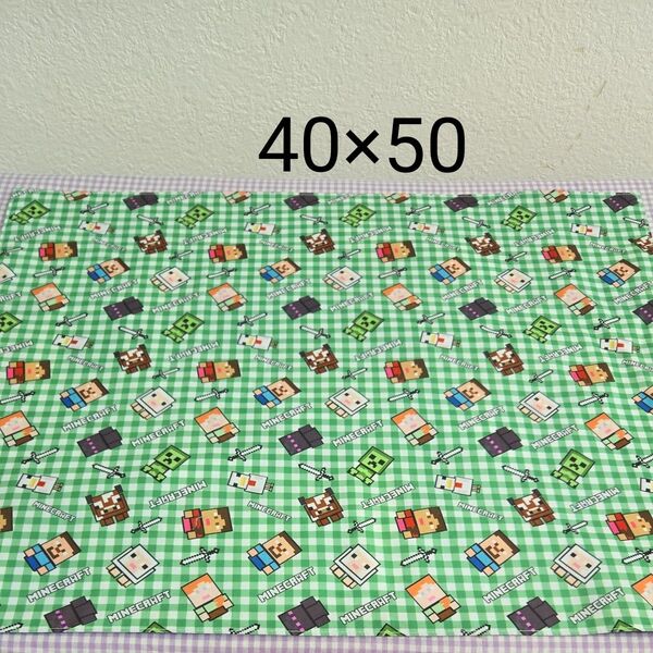 No.3 マイクラ ランチョンマット40×50 小学生向け