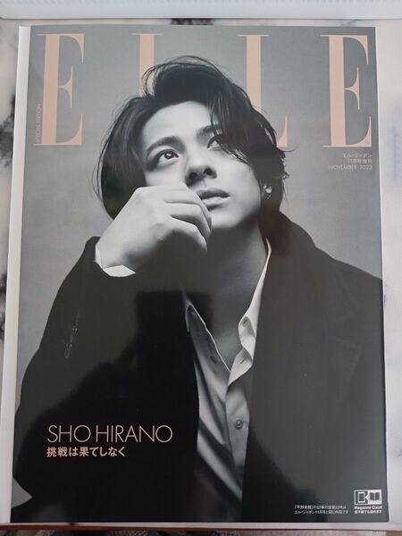 ELLE JAPON 2023年11月号増刊 平野紫耀