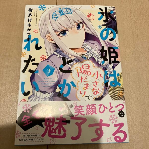 氷の姫は小さな陽だまりでとかされたい 3