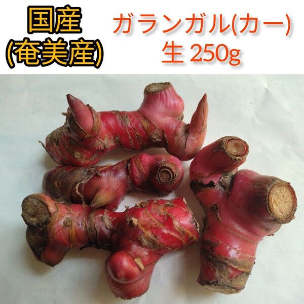 国産 ガランガル (カー) タイ生姜 250g