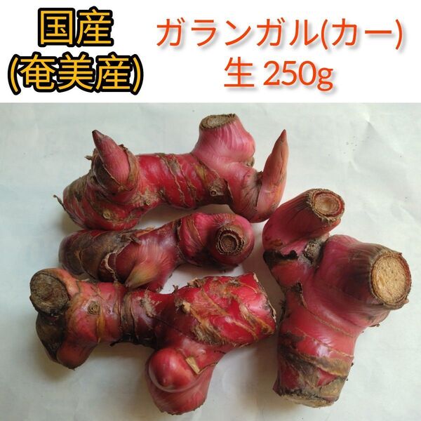 国産 ガランガル (カー) タイ生姜 250g