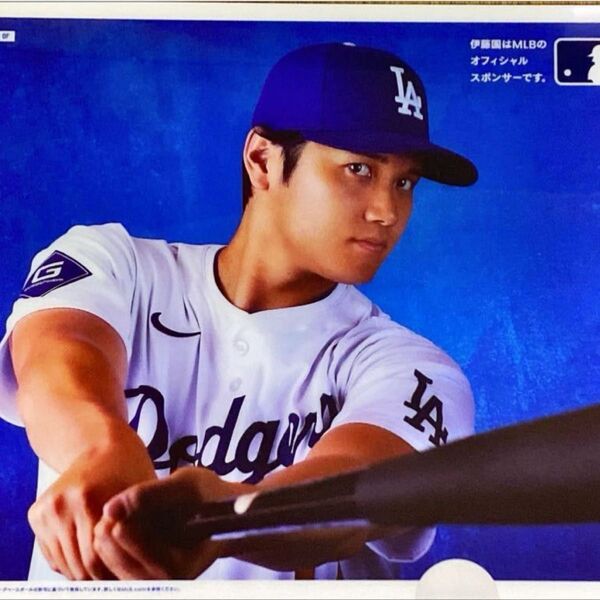 大谷翔平さんオリジナルクリアファイル4種セット