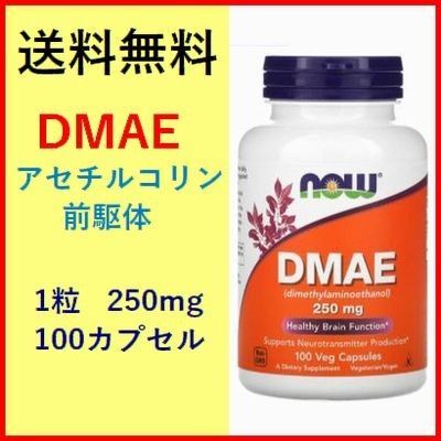 DMAE 250mg 100粒 アセチルコリン前駆体 サプリメント Now foods