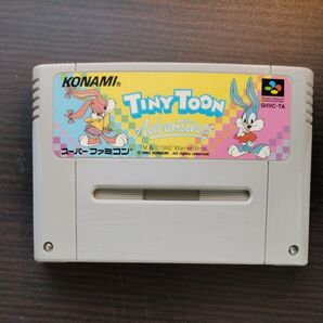 タイニートゥーンアドベンチャー