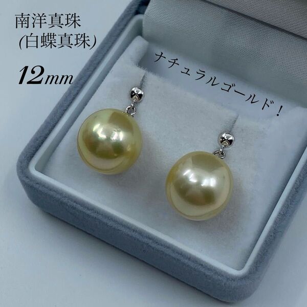 ★新品・未使用★ テリ艶々☆ナチュラルゴールド!K14WG南洋真珠12mmピアス 大粒