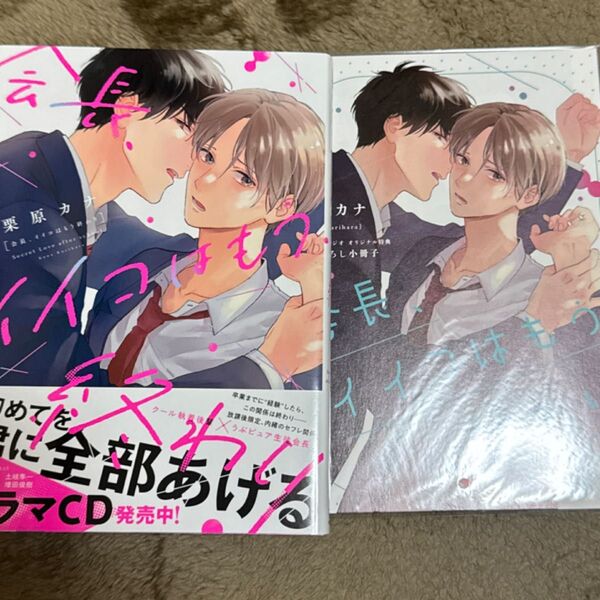 会長、イイコはもう終わり 栗原カナ コミコミスタジオ 描き下ろし小冊子