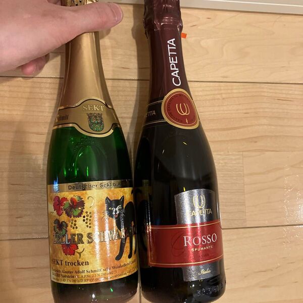 スパークリングワイン 2本セット Zeller Schwarze Katze & Capetta