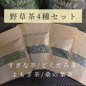 野草茶4種セット(すぎな/どくだみ/よもぎ/桑の葉)