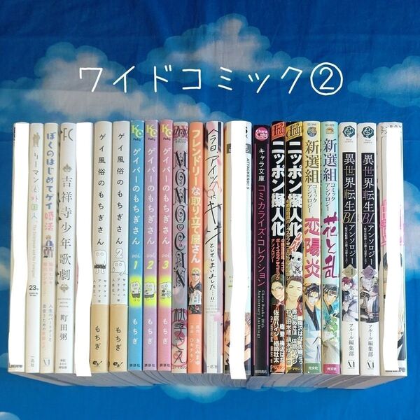 TYX04 ワイドコミック/アンソロジー② 18冊 バラ可
