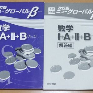 ニューグローバルβ数学 東京書籍 別冊解答編付属