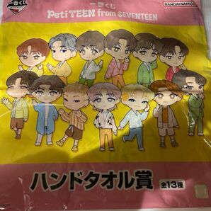 SEVENTEEN ドギョム ハンドタオル