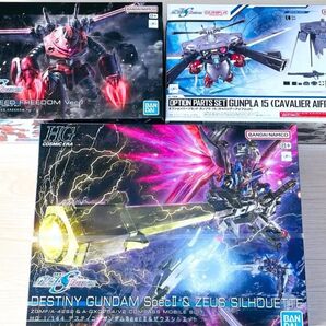 3体セット HG 1/144 ズゴック SEED キャバリアーアイフリッド デスティニーガンダムSpecII&ゼウスシルエット