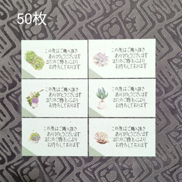 手書きサンキューカード メッセージ サンクス 薄緑×多肉植物 50枚