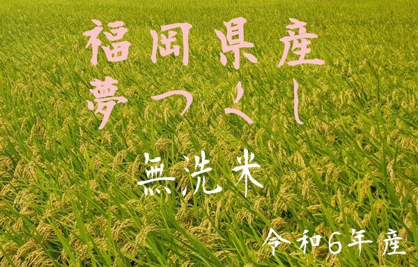 産地直送福岡県産 夢つくし 無洗米 1.8kg(12合)