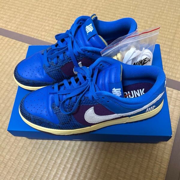 NIKE DUNK LOW UNDEFEATED