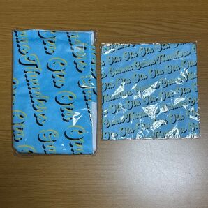 【新品】イオンモール限定 群馬クレインサンダーズ ミニタオル フェスタオル 2点セット