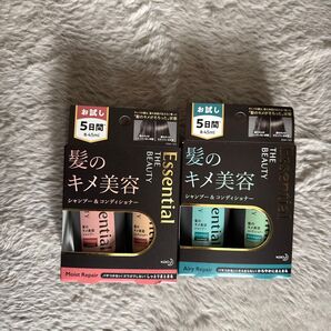 【2個セット】THE BEAUTY Essential 髪のキメ美容 シャンプー&コンディショナー